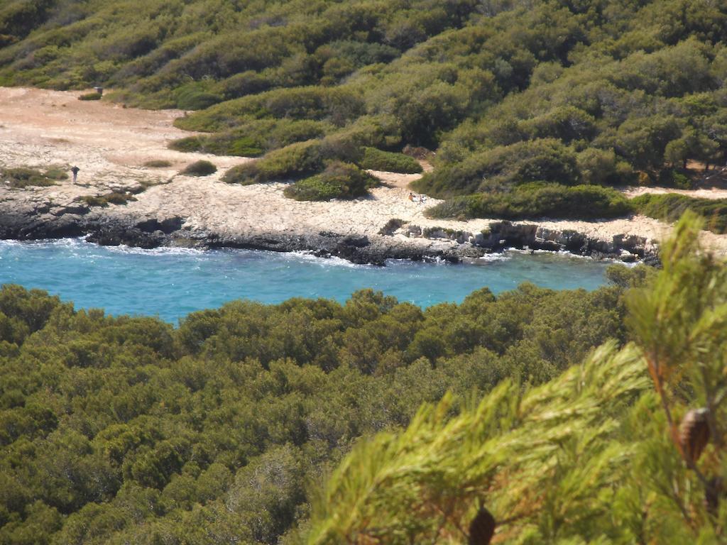 Portoselvaggio Villa Martina Santa Caterina  Rum bild
